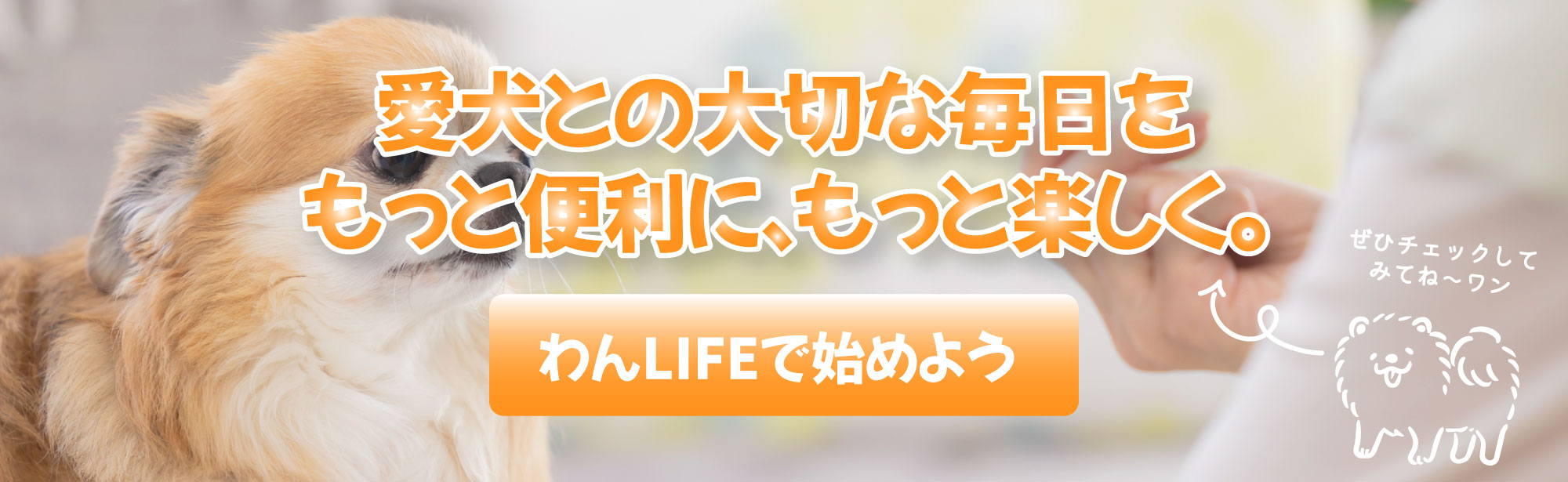 バナー
