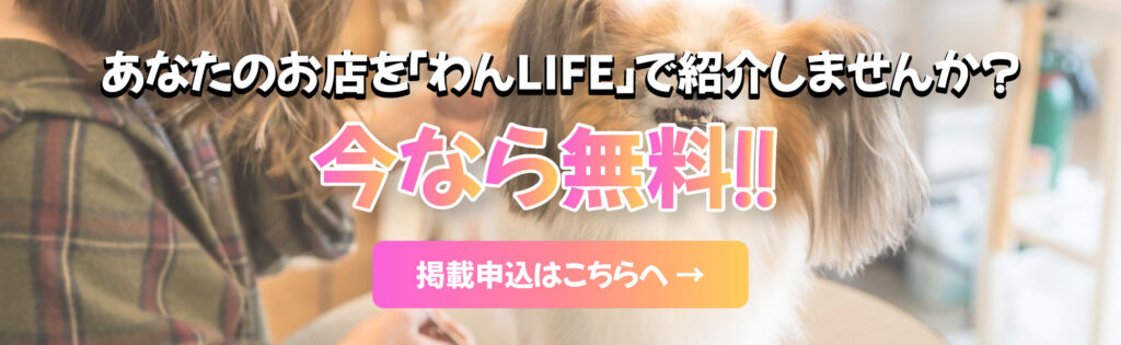 愛犬家のためのSNSアプリ。
つながる、見つける、楽しむ、わんLIFE。