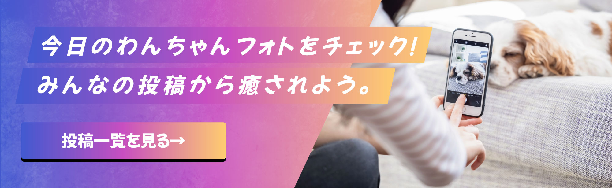 バナー