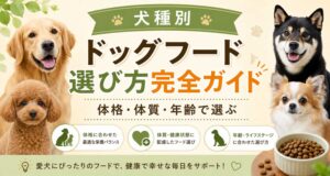 犬種別ドッグフード選び方完全ガイド｜体格・体質・年齢で選ぶ