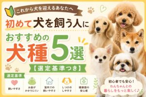 初めて犬を飼う人におすすめの犬種5選【選定基準つき】
