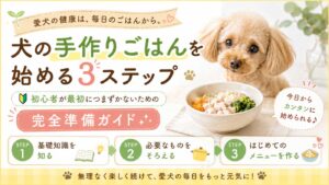 犬の手作りごはんを始める3ステップ｜初心者が最初につまずかないための完全準備ガイド