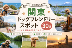 関東ドッグフレンドリースポット30選｜犬と楽しむ完全ガイド