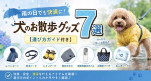雨の日でも快適に！犬のお散歩グッズ7選【選び方ガイド付き】