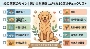 犬の病気のサイン｜飼い主が見逃しがちな10症状チェックリスト